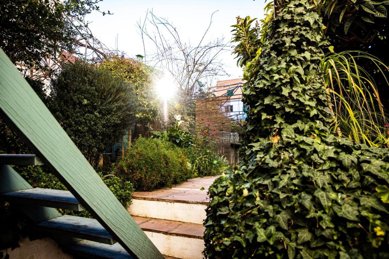 The Lemon Tree Apartment Vilaflor Exterior foto